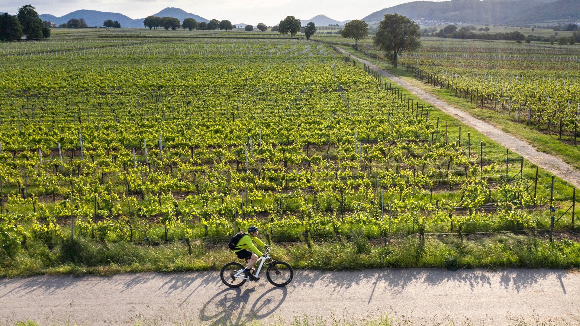 ADFC-Fahrradklima-Test: Wie fahrradfreundlich ist Rheinland-Pfalz?