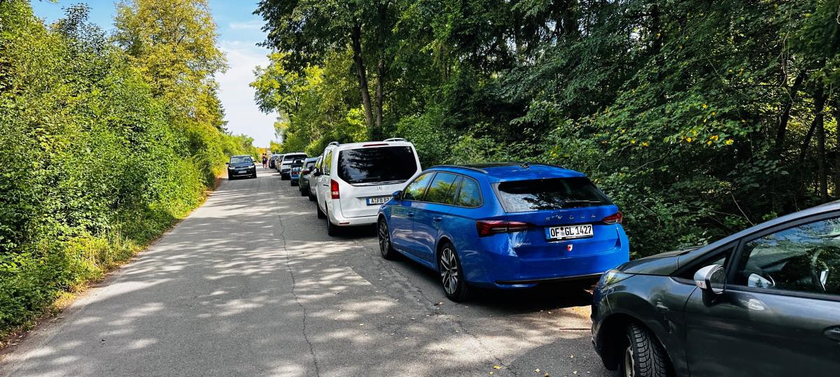 Leserbrief: Strafen am Auensee gegen Falschparker und mehr Kontrollen würden helfen