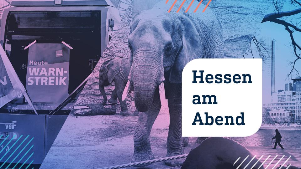 Hessen am Abend: Neuer Warnstreik im Nahverkehr - und eine Elefantendame in Not