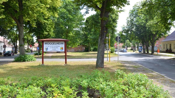 Keine neue Buslinie der BVG in Müggelheim: Warum andere Projekte Vorrang haben