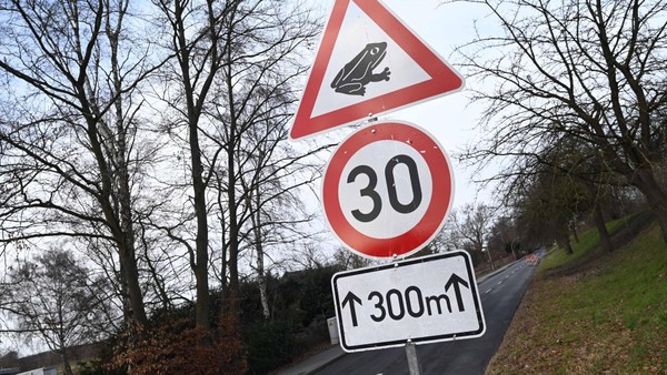 Alles für die Kröte? Plötzlich Tempo 30 auf beliebter Pendlerroute in Hamburg