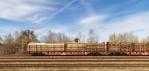 Deutsche Bahn: Wie die DB Cargo-Krise ein Sägewerk in Thüringen trifft