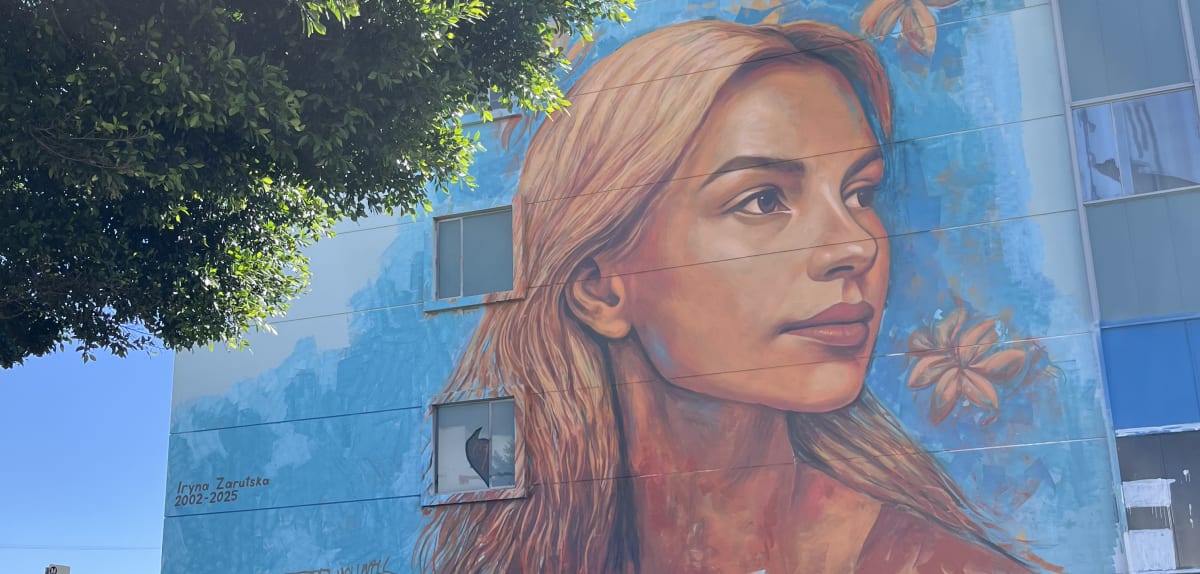 US-Demokraten lassen Wandbild von Messer-Opfer entfernen, weil es von Elon Musk finanziert wird