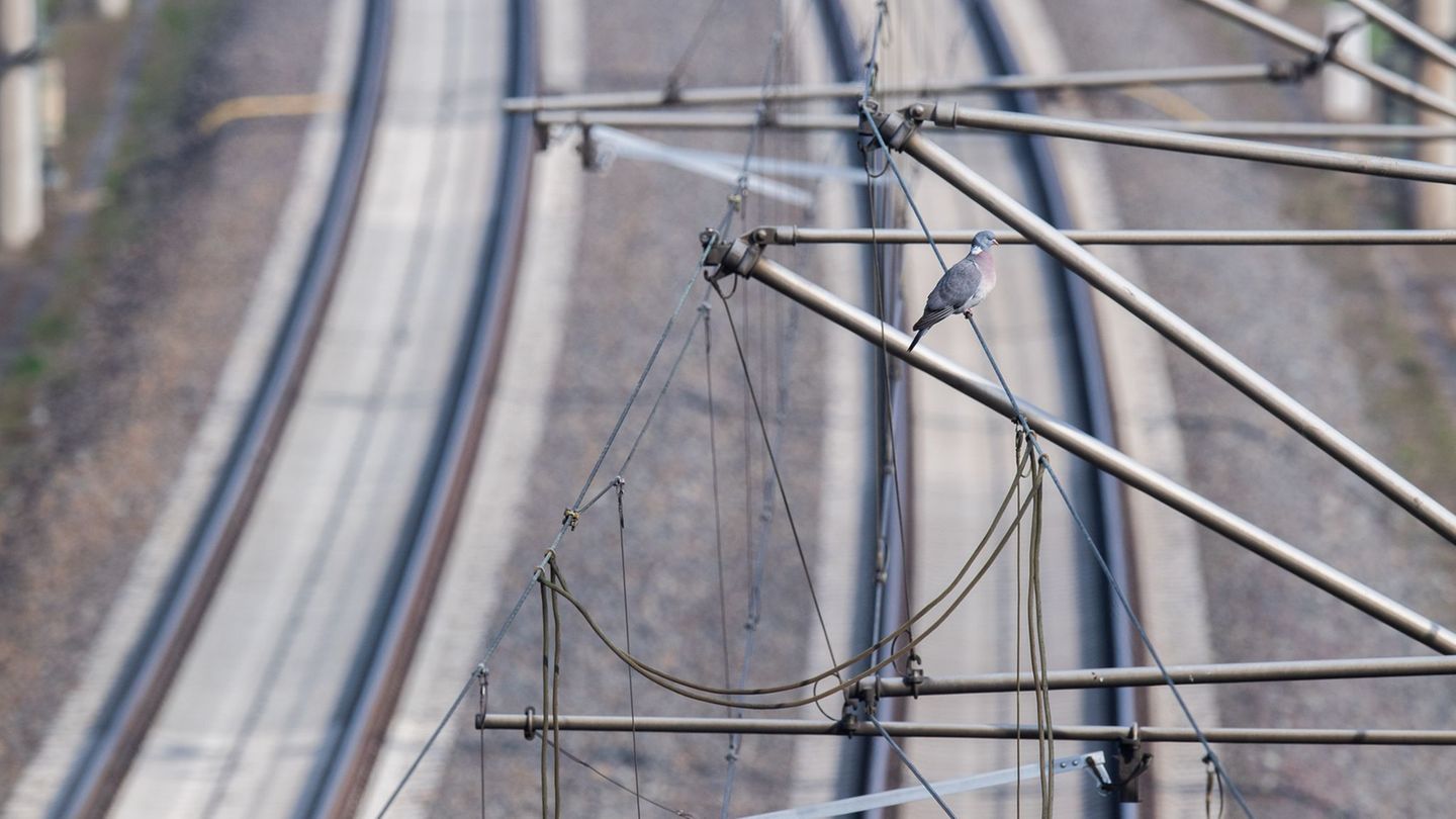 Verkehr: Hunderte wegen kaputter Oberleitung aus S-Bahn evakuiert