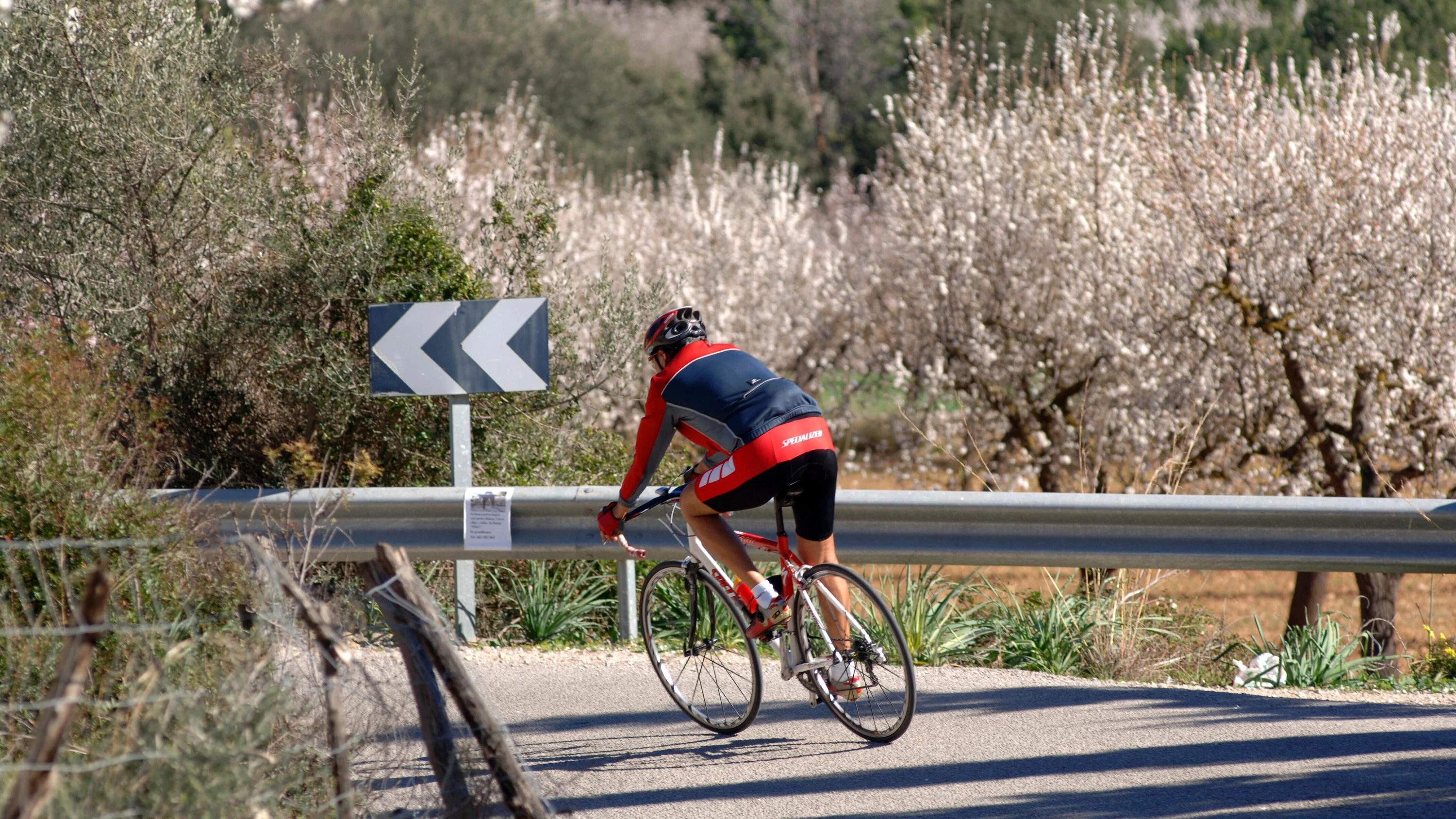 was ist zumutbar?: Deutschland verliert sich in Bequemlichkeit