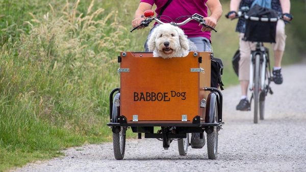Kampagne: Auf dem Fahrrad ein Vorbild für andere sein