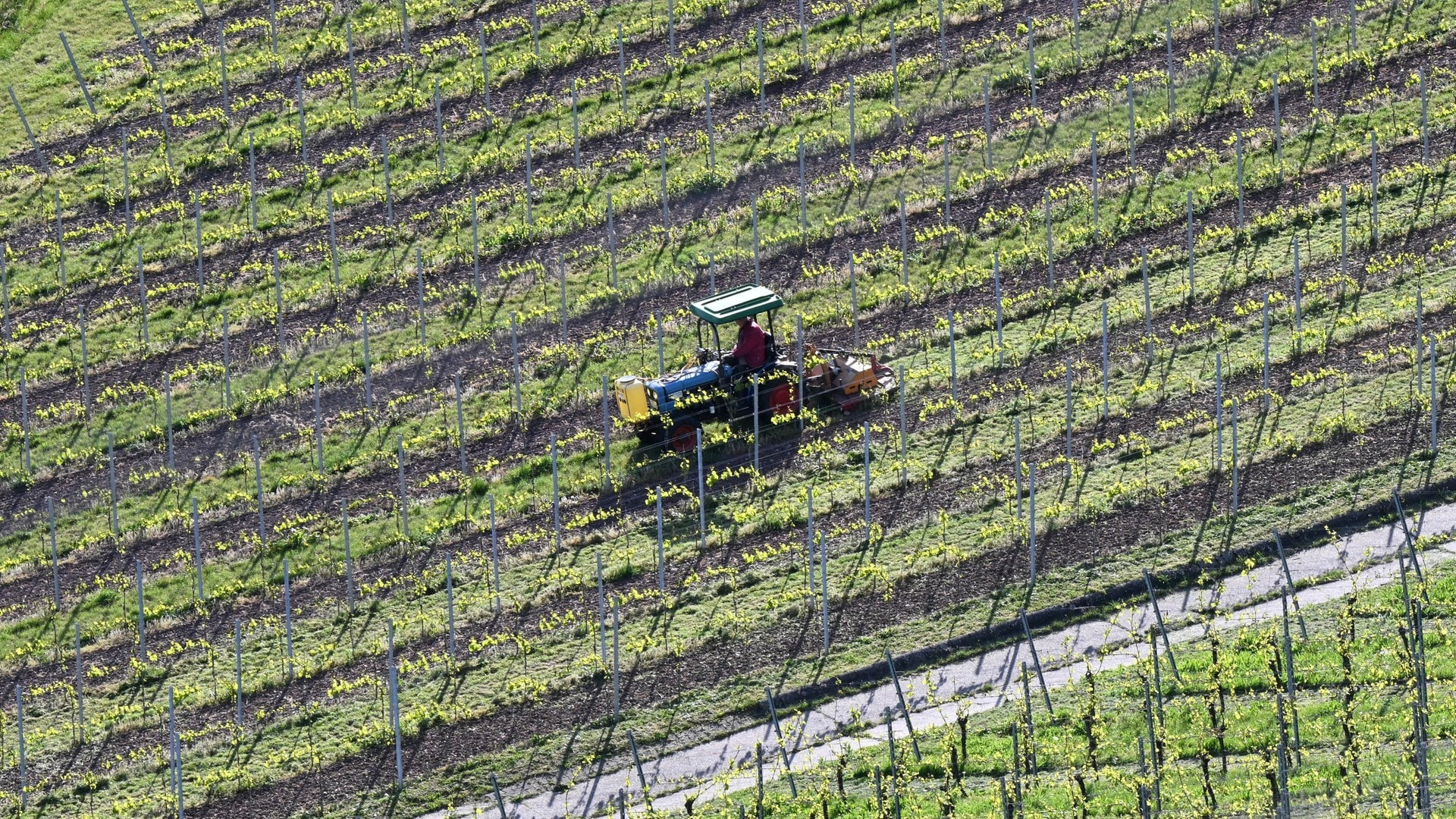 Tödlicher Unfall mit Traktor im Weinberg