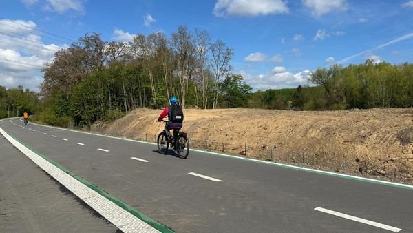 Frühling und Kahlschlag: Irritationen am RS1 – was hinter den Rodungen steckt