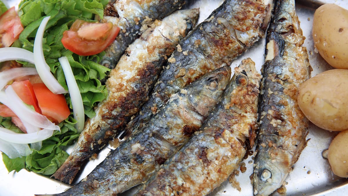 Bremen: Neueröffnung von Hamsi Finger im Viertel – Was steckt dahinter?