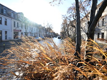 Wie weiter mit Potsdams autoarmer Innenstadt?: Mehr Parkplätze und bessere Radwege gewünscht