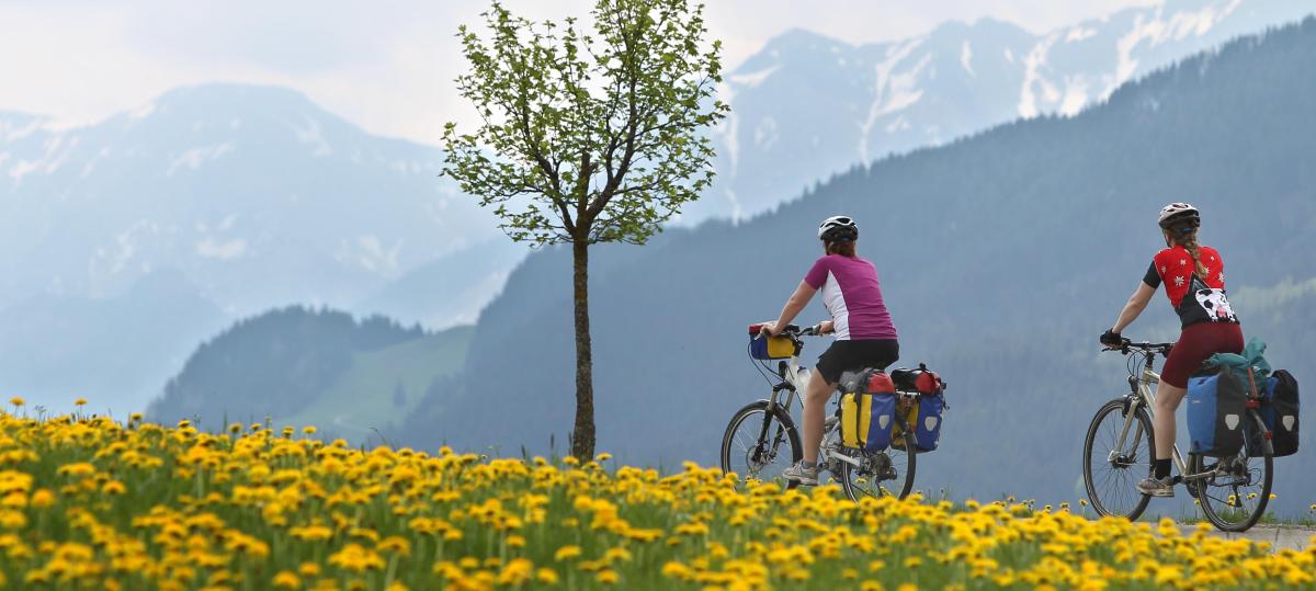Radfahrparadies Bayern? Vier der beliebtesten Radwege führen durch Bayern