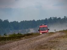 Waldbrandschutz: Wie Schutzstreifen Waldbrände eindämmen sollen