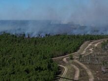 Waldbrand bei Jüterbog breitet sich aus: Feuerwehr kann wegen gefährlicher Kampfmittel nicht direkt an die Flammen heran