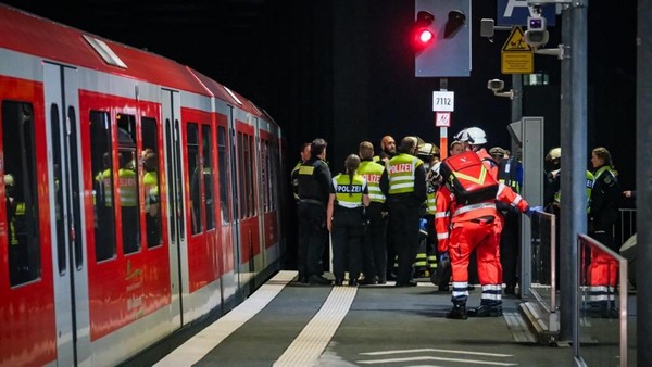 Mit fast 500 Fahrgästen an Bord: Defekte S-Bahn bleibt auf Elbbrücken liegen